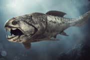 【画像】3億年前の海を支配していた魚、怖すぎるだろ・・・・