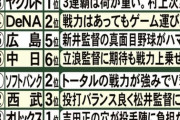 エモやんの2023年セパ順位予想www