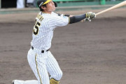 阪神・江越があすから1軍昇格「役割を果たせれば」練習試合では逆方向へ先頭打者アーチ