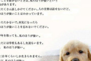柴犬だけど質問ある？