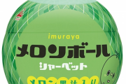 アイスクリーム星人「地球で一番美味いアイスクリームを差し出せ。満足できなければ地球を侵略する」←どれを出すべきだ？