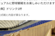 【乃木坂46】東京ドームの天空席にこんな神席あるって知ってた？