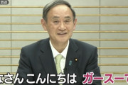 【悲報】国民とマスコミ「GoTo中止しろ！」政府「中止にするで！」国民とマスコミ「観光業界が終わるやろ！」