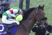 ●年度代表馬エフフォーリア