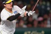 反撃ののろし打！阪神・渡辺が6回先頭の代打でヒット「なんとか塁に出ることだけを考えて」