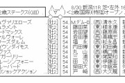 【競馬】　新潟2歳ステークス(GⅢ)　2chレスまとめ