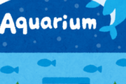 水族館「一日潰せます、2000円です、デートに最適です」←こいつが流行らない理由ｗ