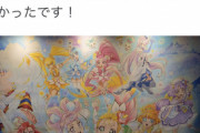 【悲報】おじさん(50)、一人でプリキュアの映画観に行ったことを報告ｗｗｗｗ