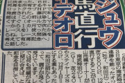 【競馬】オジュウチョウサン 有馬記念に直行が決定。ジャパンカップ参戦は見送り