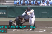 高松商・浅野、２打席連発ｗｗｗｗｗｗｗｗｗｗｗ