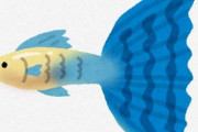 グッピーを飼ってたらめちゃめちゃ増えたんやけどこれって売れへん？