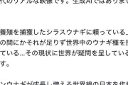 【悲報】うなぎの幼体、見た目がキモすぎるｗｗｗｗ