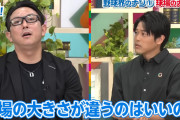 内田篤人「野球って球場の形違うのアリなの？」
