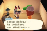 【悲報】あつ森、猫キャラが追加されて一部で大人気になるｗｗｗｗ