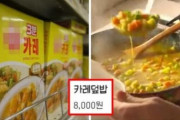 【悲報】韓国人「韓国式カレー丼がゴミ過ぎて炎上！」客が書いた「怒りのレビュー」が話題に‥　韓国の反応