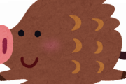 【画像】さっき目の前にイノシシいてワロタｗｗｗ
