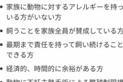 【悲報】猫の里親になる条件、クレカの審査より厳しい