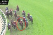 【スプリングS】7着ランドオブリバティ三浦皇成「ポジションはよかったがコントロールが利かない感じがあった」