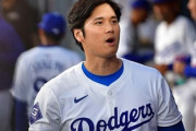 【速報】大谷さん、人気観光施設を出禁になってしまうｗｗｗｗｗｗｗ