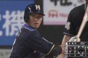 日ハム王柏融(打率.400 OPS1.100)に浴びせたい言葉