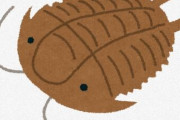 三葉虫「進化速くて適応しまくりです、あらゆる海にいます」→絶滅した理由