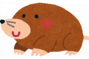 モグラさん、雨が凄すぎて土から出てくる