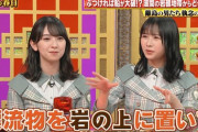 【速報】上村ひなの、ウッチャンに叱られるｗｗｗｗｗｗｗｗ
