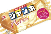 もしかしてチョコモナカジャンボよりバニラモナカジャンボの方が美味いのでは？
