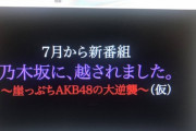 【乃木坂46】崖っぷちのAKB姉さん・・・