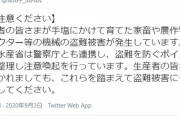 【パヨク犯罪者を擁護する】つるの剛士、ブチ切れ！被害者側がなんで糾弾されなきゃいけないのか？！ 理不尽すぎてホントアタマくるわ
