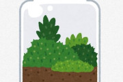 よく分からん謎の趣味「ビオトープ」「苔ニウム」「水草アクアリウム」
