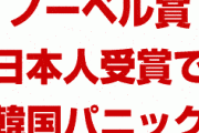 韓国、ノーベル化学賞の日本人受賞でパニック状態！　愛国心が崩壊！　韓国ポータルサイトで怒りを露わにする人も！