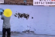 【動画】中国人が江戸川区の河川敷で牡蠣の乱獲をはじめる　「日本のルールに従うつもりはない」  [637424891]