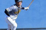 阪神井上がファームでタイムリー＆好返球、平田監督のゲキに意地見せた