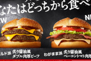 【朗報】マクドナルドさん、ガチのマジで美味そうな新商品を販売してしまう
