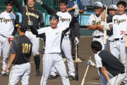 「虎党が選ぶカッコいい大賞」　第5クールは高山に決定　16年新人王の復権に期待の声多数