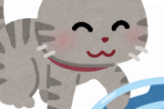 【かわE】子猫が...「やんのかステップ」