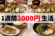 食費「一日千円は余裕で超えますw」敵「いや、そんなにかからんやろ」←は？ｗ