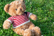 【悲報】オタクさん、ぬい活を禁止した店のレビューを荒らす