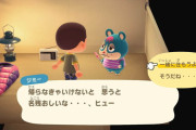 【あつまれどうぶつの森】ジミーが引っ越すってさ。あいつ島に馴染めなかったんだな…