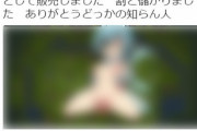 【悲報】外人「同人ゲーム英訳して違法アップしたろ！」制作者「！」ｼｭﾊﾞﾊﾞﾊﾞﾊﾞｯ