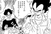 ヤムチャがベジータにブルマを寝盗られたみたいに思ってる奴多すぎでウザい【ドラゴンボール】