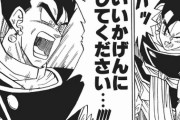 ドラゴンボールの悟飯の人生って悲惨すぎるよな