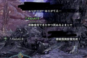 【MHWアイスボーン】乙ったときに煽り定型文を出すやつ、どういう神経してんだ？？