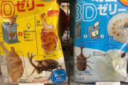 【悲報】すまんこのカブトムシゼリーとやらは誰得なんだ？？？？？？