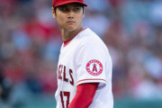 大谷翔平 9勝4敗 2.38 87回 123奪三振←こいつ