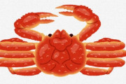 【福島】「こんなの初めて…」　ズワイガニの初競りが中止　原因は過去に例がない不漁・・・