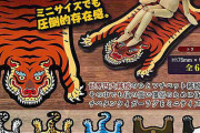 世界四大絨毯のチベット絨毯「チベタンタイガーラグ」がミニサイズでガチャになった！