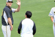 ＮＰＢ外国人登録枠拡大へ　今季限り　史上最多８人の阪神に好影響か