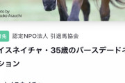 【ウマ娘】アヤベさんは別衣装も来そうな気配もあるし交換ためらってるやつ多いと思う
